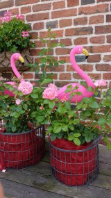 Die Rose und der Flamingo
